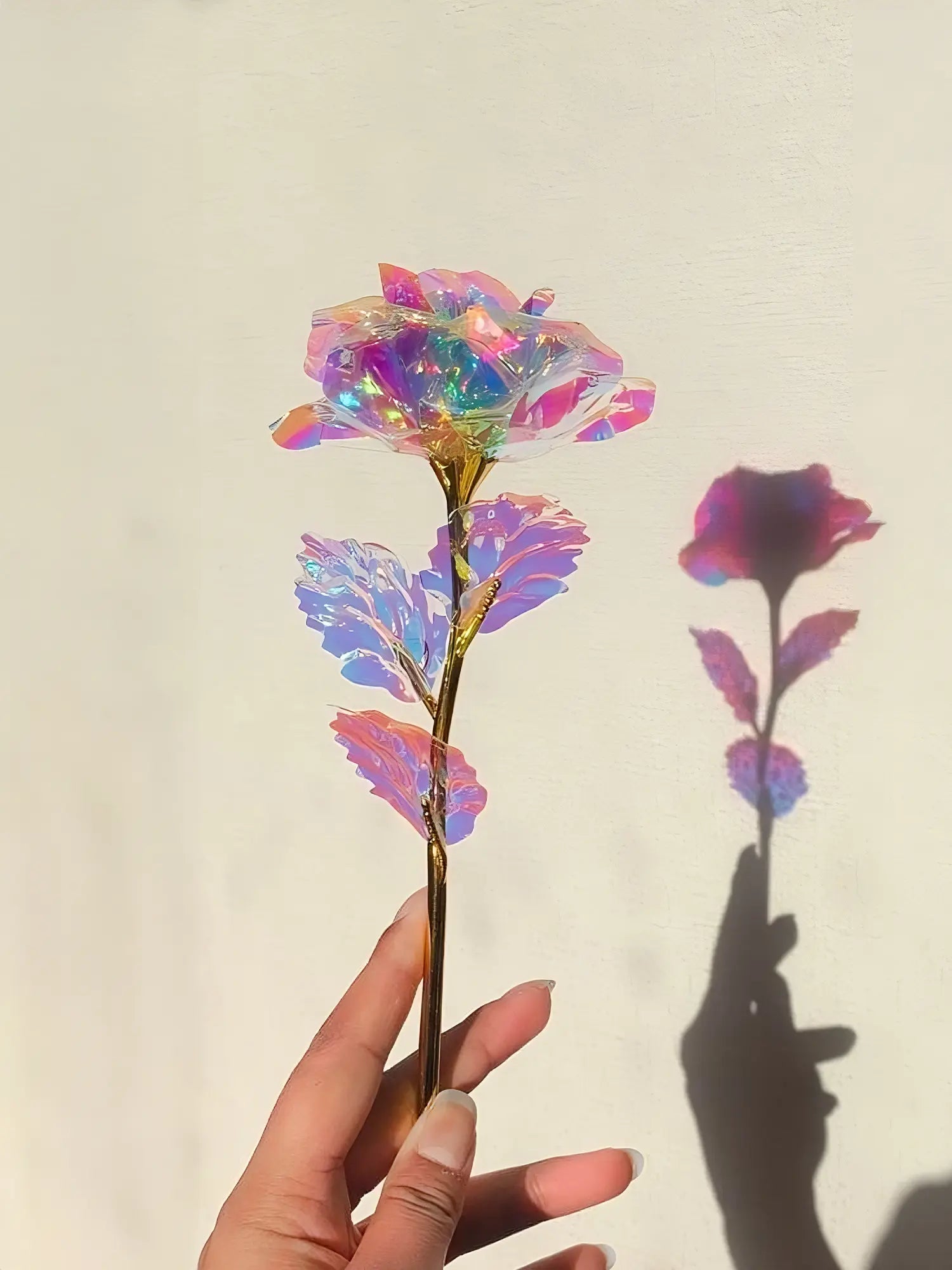 Galaxy Rose