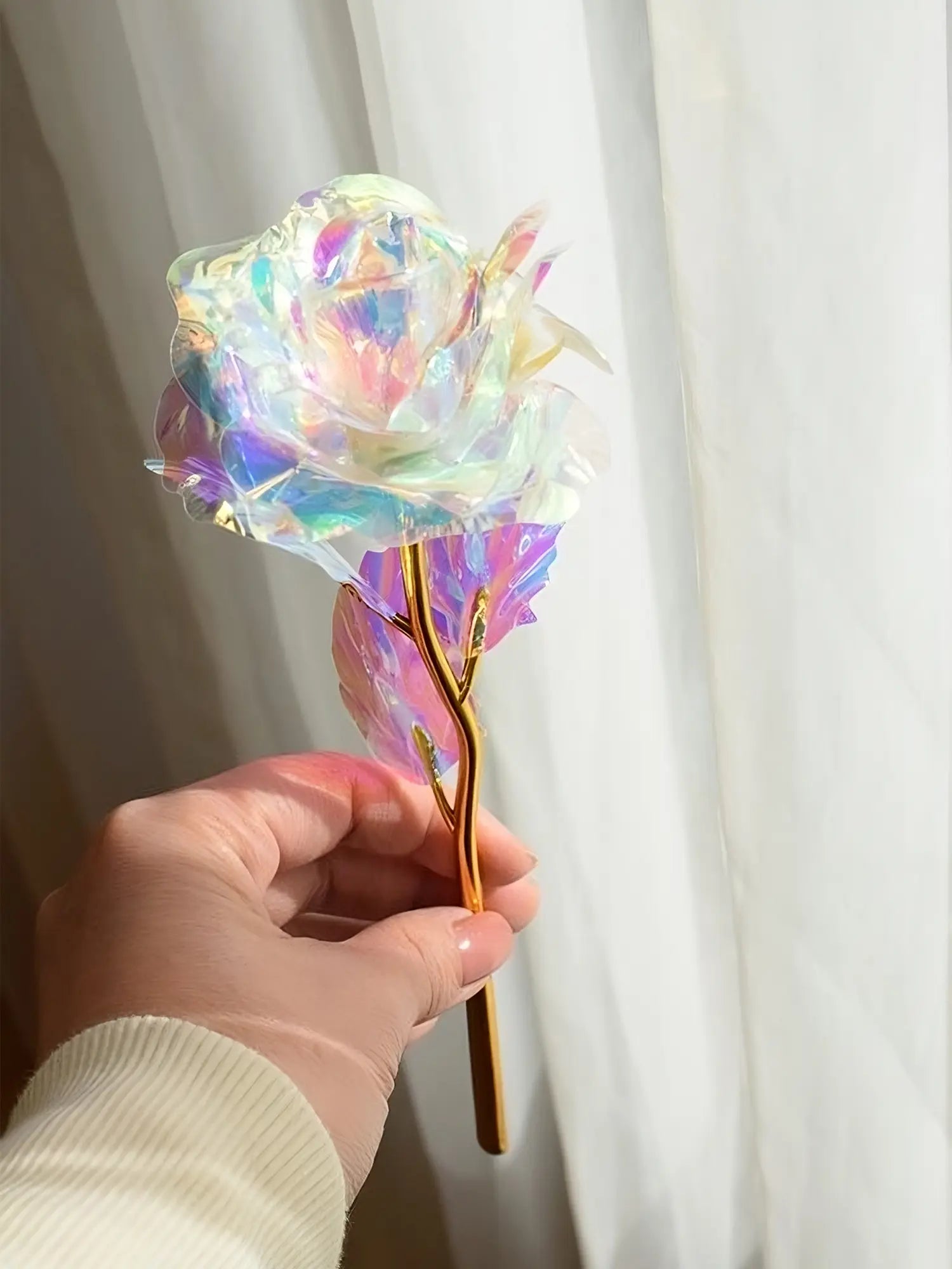 Galaxy Rose